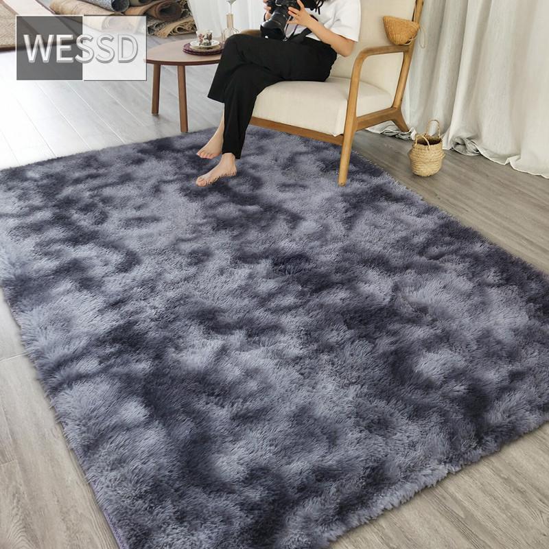 Плюшевый ковер для гостиной с градиентным разноцветным лохматым мягким напольным ковриком в спальне, лохматый ковер для детской комнаты