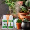 General Soilless Cultivation Nutrients A and B Fertilizer For Growing Vegetables Fruit Flowers Hydroponic Plant Food Solution