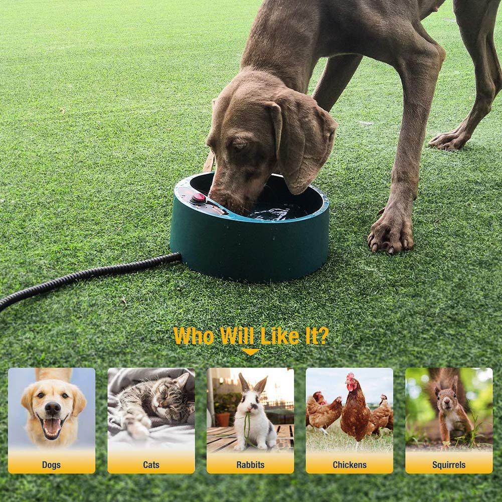Миска с подогревом для домашних животных, автоматический нагрев при постоянной температуре, миска для корма для кошек и собак