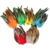 Natural Cock Feathers 5-7inch Colorful Pheasant Feather for Crafts Jewelry Making Accessory Party Clothing Decoration