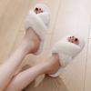 Fashion Women House Slippers Fur Fashion Warm Shoes Woman Slip On Flats Female Slides Cozy Home Furry Slippers