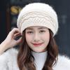 Hat Women's Winter Warm Hat Outdoor Knitted Hat with Thick Velvet Beret Korean Version Hat