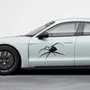 Графическая наклейка Паук на кузов автомобиля, боковое стекло, бампер, Декор, Декаль, Виниловая, Водонепроницаемая, Украшение, Автоаксессуары для тюнинга, Детали