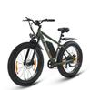 SPATIAL Parrot Men’S Off-Road E-Mountain Bike 250W Motor 48V13AH Battery Outdoor Riding Electric Bike 26 Inch All-Terrain Tires Electric Bicycle