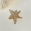 Golden Color Starfish Hair Clip Vacation Style Duckbill Hair Clip Sweet Headwear  Girl