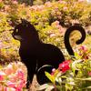 Cute Cat Decorative Garden Silhouette Stake, Family Theme Design, Outdoor Animal Statue Suitable for Garden Lawns
