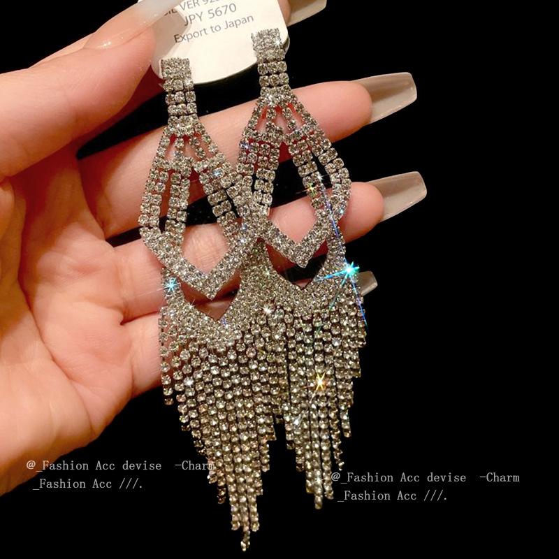 Silver needle metal long fringed earrings niche light luxury high-end earrings fashion versatile temperament earrings women