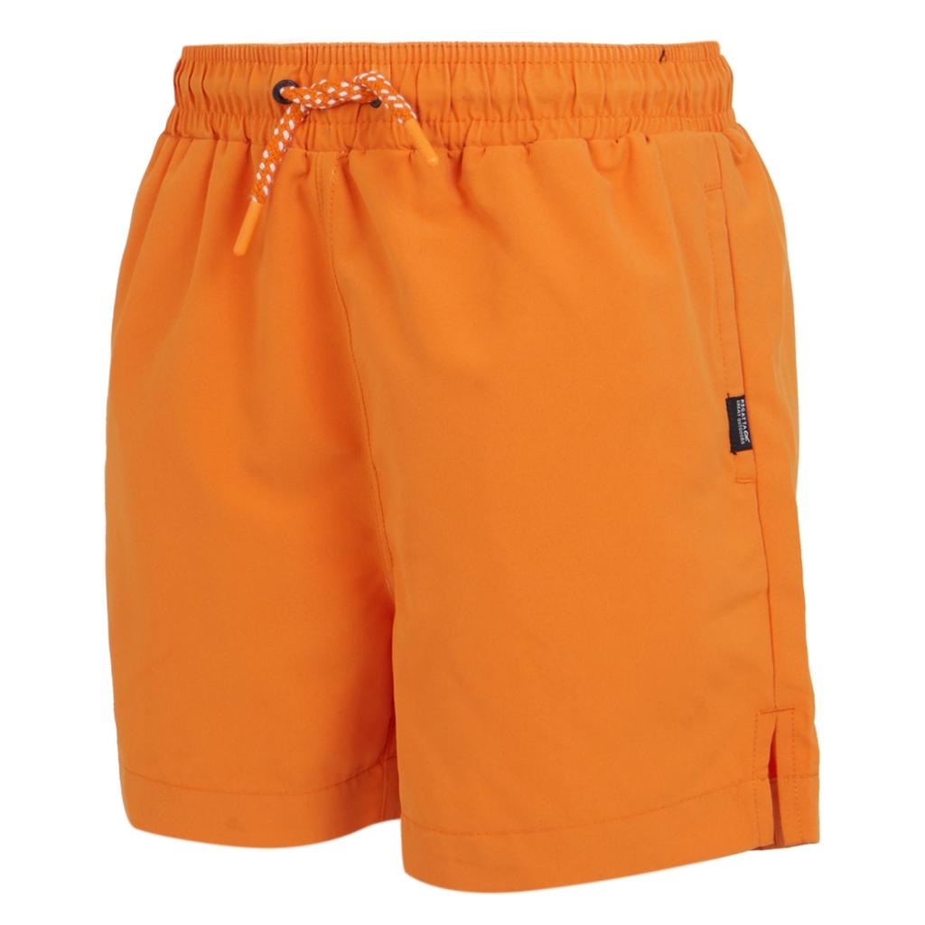 Regatta Childrens/Kids Skander III Plain Swim Shorts