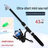 43см Портативный Мини Телескопический Набор Удилищ для Спиннинговой Рыбалки для Начинающих