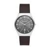 Watch SUNDBY SKW6909 Brown [Skagen] Men's