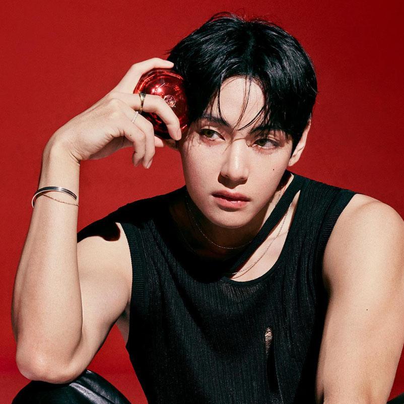 TIRTIR Mask Fit Ruby Mesh Cushion SPF30 PA++ [21N Ivory] Special Set (Cushion + Mesh Blush No.10)