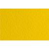 FABRIANO DRAWING TIZIANO 10 Sheets 50x65cm 160gsm Golden Yellow44