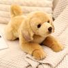 Имитация Домашний питомец Хаски Корги Плюшевая игрушка Милый мультяшный животный Лабрадор Мягкая кукла Домашний декор Подарки для девочки