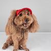 Adjustable Pet Baseball Hat Solid Color Dogs Sun Hat Sun Bonnet Dog Cap  Sports