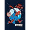 Spider-Man Childrens/Kids Friendly Neighborhood Wall Crawler Pull Over Hoodie