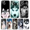 Чехол для телефона iPhone 17 Чехлы iPhone Air 16 15 12 13 14 Pro Max 7 8 Plus 16Pro iPhone11 Мягкий чехол Собака Аляскинский хаски