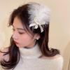 Props For Girl  Female Barrettes Hair Accessories Feather Hair Clip Korean Style Hairpin