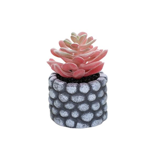 Desktop Ornament Simulation Bonsai No Watering Practical Artificial Succulents Plant