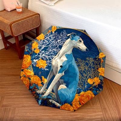 Аксессуары – Зонты