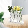 Clear Test Tube Vase for Flower Display with Stable Stand Hydroponic Propagation Station