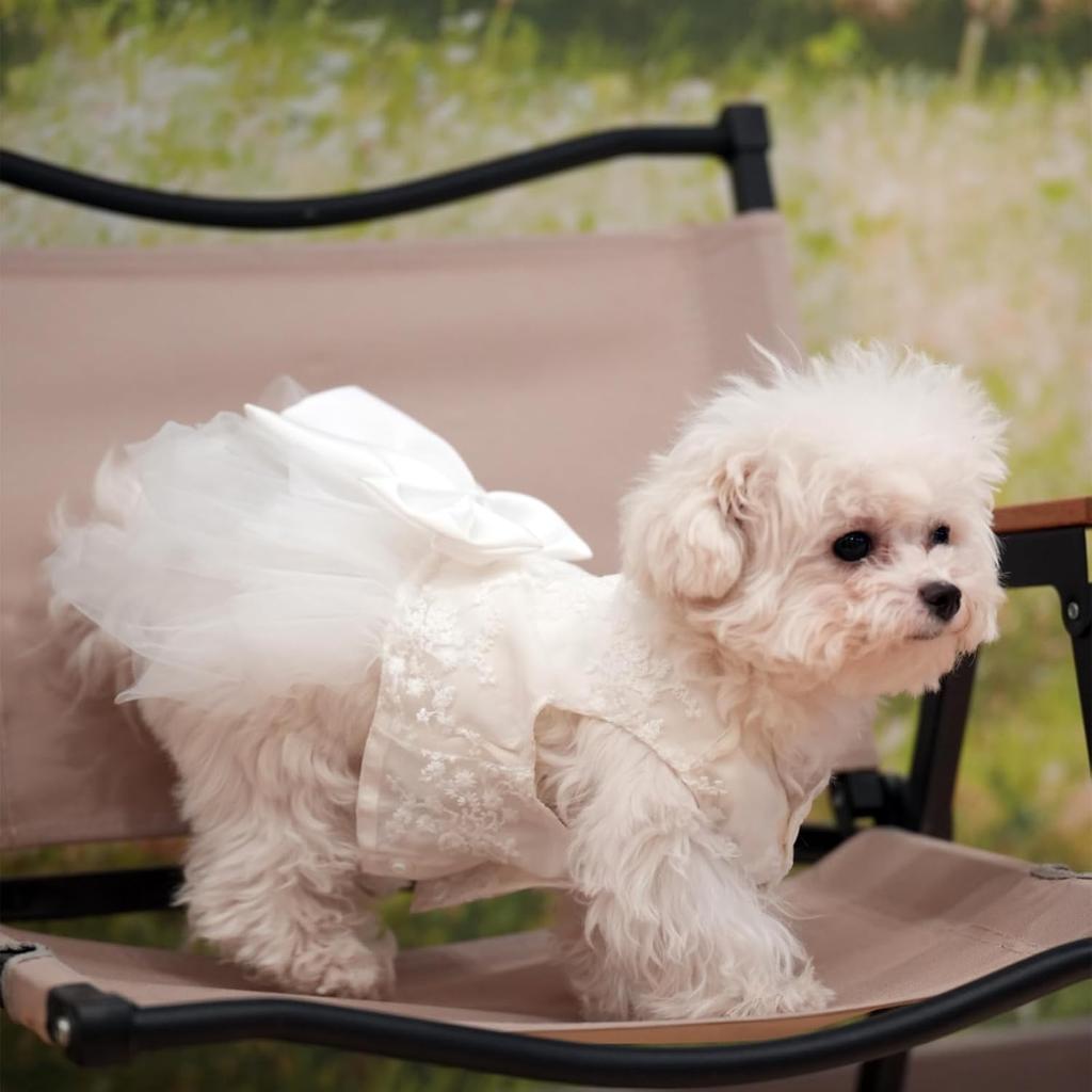 Dog Dress,Pet Wedding Dress Princess Formal Tutu Skirt with Bowknot,Puppy Birthday Party Outfit Apparel Girl for Small Dogs Cats (White Lace,
