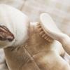 [Pet] Массажная расческа маленькая