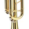 LADE Professional Bb Flat Brass Trumpet Instrument Set Kit Accessory (Gold)