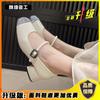Silver Bag Head Single Shoes Women's Summer 2025 New Fashion Banquet Shoes Mary Jane Shoes Thick Heel Versatile High Heels