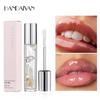 Transparent Dried Flower Lip Oil Mirror Water Gloss Lip Gloss, Long-lasting Moisturizing Pearl Lip Gloss
