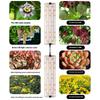 12V 2-Panel Plant Growing Light Potted Plants Shelf Seedling Growth Fill Light,EU Plug