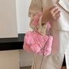 Beautiful Elegant Furry Chain Bag  Crossbody Bag  Versatile  Niche Bag  Winter  New