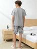 Teens Boys Clothing Sets Size 13-16 Years, Cartoon Print Grey Casual Crewneck Short Sleeve T-Shirt & Pants