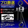 Best Answer VM Lever Hoist, 1.5m Chain, Roller, Chain Block, Load Tensioner, Gatcha, Pulley, Hoist, Fixing Tool, Lightweight, Compact, 2 Units, 0.25t,