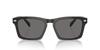 Sunglasses HC8397U CR628 TRANSPARENT DARK GRAY 57 [Coach] Men's