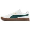 Smash Vulc V3 Low Casual Skate Shoes Unisex Sneakers White Green 380752-11
