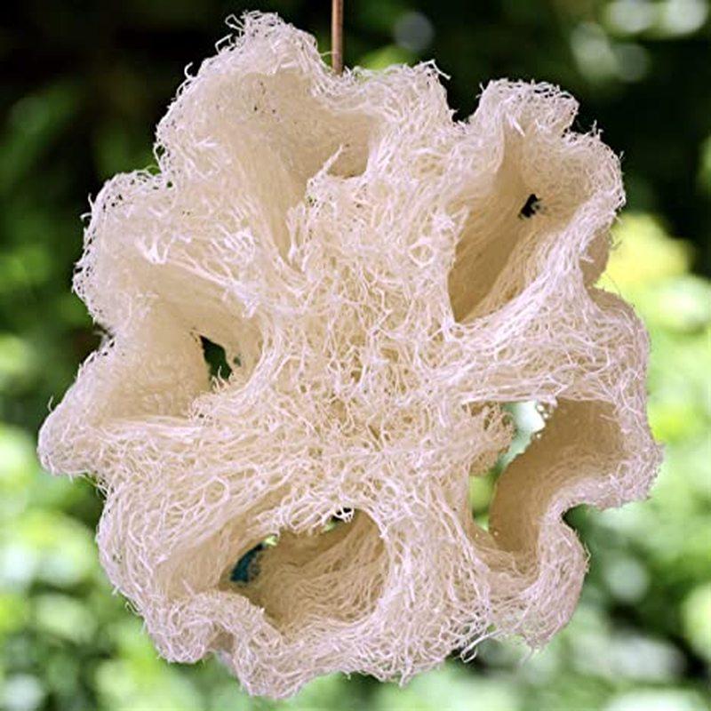 Натуральный настоящий скребок для тела из люфы для душа, который очистит вас, а не просто нанесет мыло