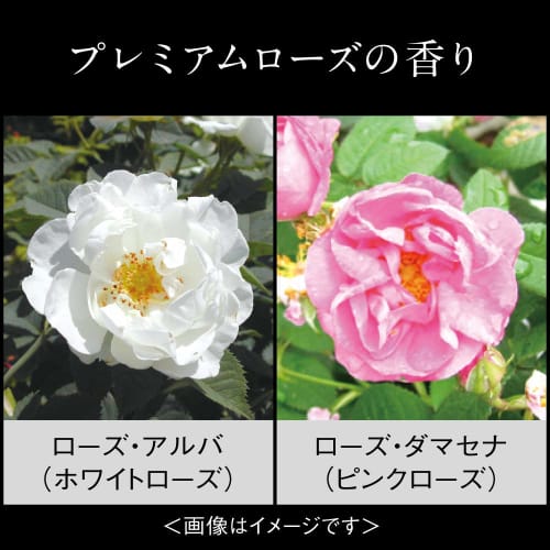 Milano Collection Pressed Face Up Powder 2023