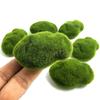 Fake Stone Artificial Moss Rocks Home Decor Micro Landscape Simulation Plant DIY Decoration for Garden and Crafting Home Decor