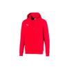 Puma Teamgoal 23 Printed Hooded Casual Pullover Sweatshirt Men Sweatshirt Red 656988-01