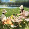 Portable Camping Chair with Backrest