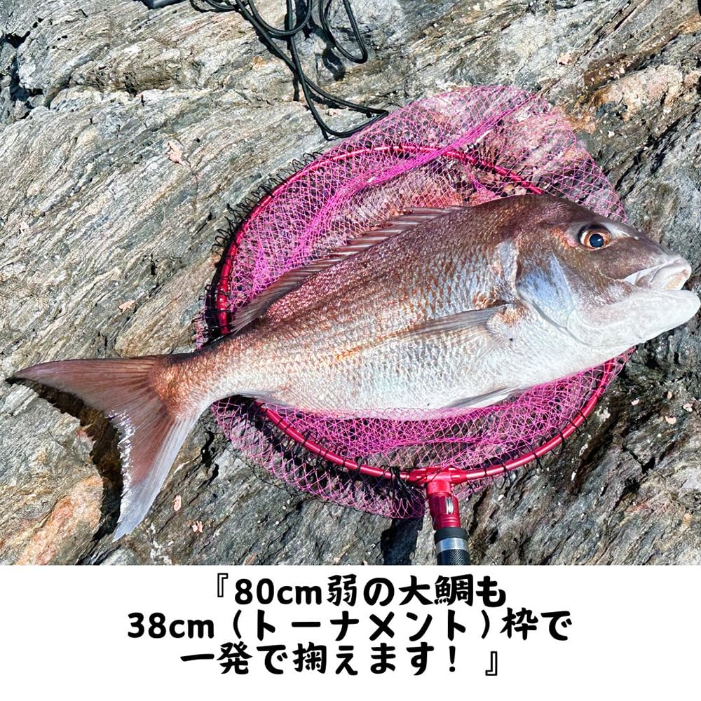 Siyouei Ultra Frame Goku Ver.2 с сеткой, Турнирная модель, Рама 38см x Глубина 45см, Фиолетовая рама, Дымчатый и Серый цвет, Номер продукта 860-4