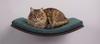 Wooden cat shelf Arc 60cm Bottle green