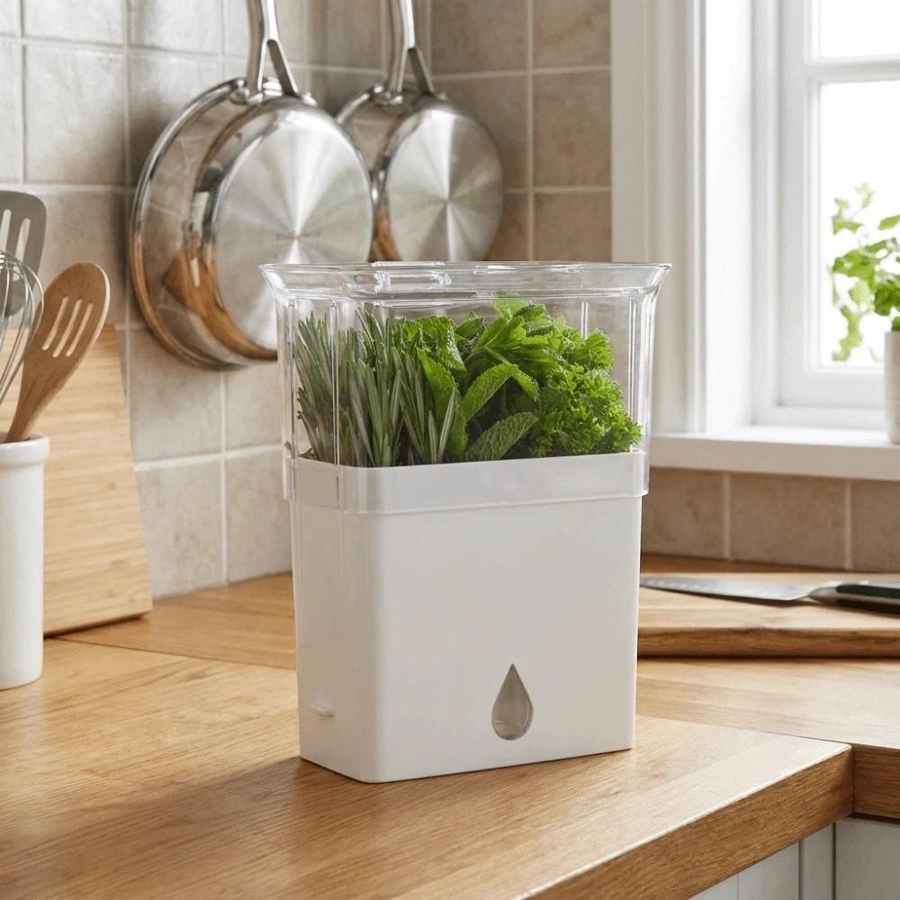 Plastic Fresh Herb Keeper Airtight Vanilla Bean Storage Box Vegetable Keeper Prolongs Produce Life