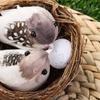 Home House Decoration Handmade Craft Artificial Craft Birds Birds Egg Bird Nest Realistic Feathered
