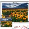 5D Diamond Painting Flowers Tulips DIY Diamond Embroidery Rhinestone Home Decoration