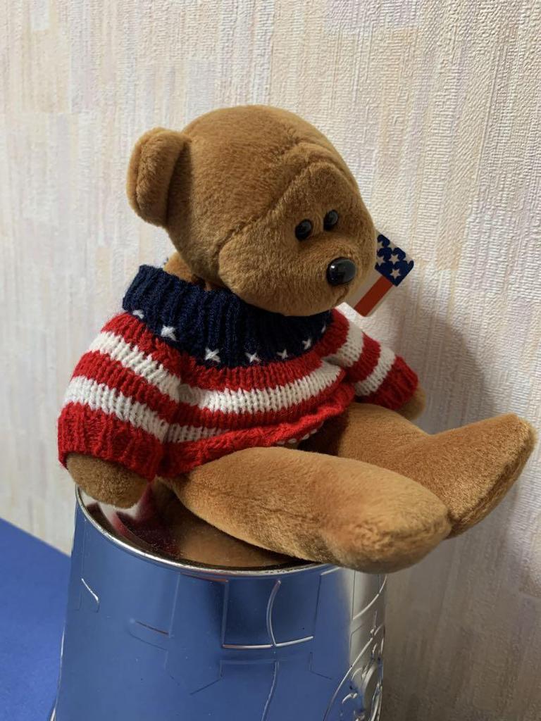 [USED] plush land teddy bear