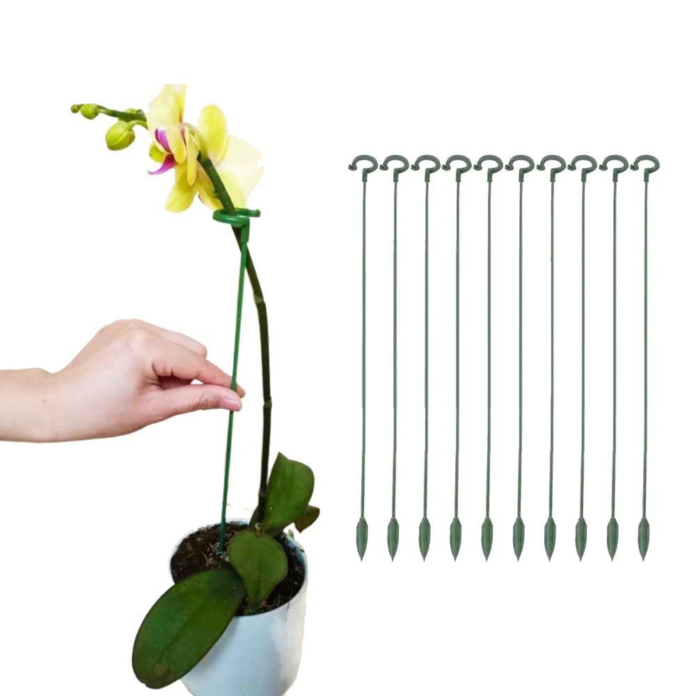 10pcs Butterflies Orchid Plants Support Racks Durable Vine Climbing Stand Gardening Tools