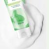 Fruit Country Seasonal Mint Pore Cleansing Foam 130g