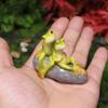 1pc Handcrafted Miniature Frog Couple Figurine Resin Animal Garden Decor, Romantic DIY Fish Tank & Room Accent Fish Tank Accessory