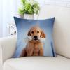 Милая собака Декоративная наволочка для автомобиля Украшения для офиса Гостиная Диван Домашняя наволочка